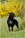 RUSHE ( Riproduttore Selezionato ENCI) - Triola Cane Corso